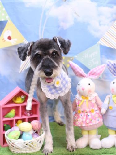 20240331オーシャンくん